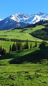 Nature China