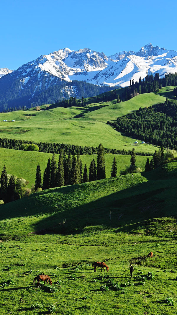 Nature China