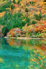 Sichuan Retreat