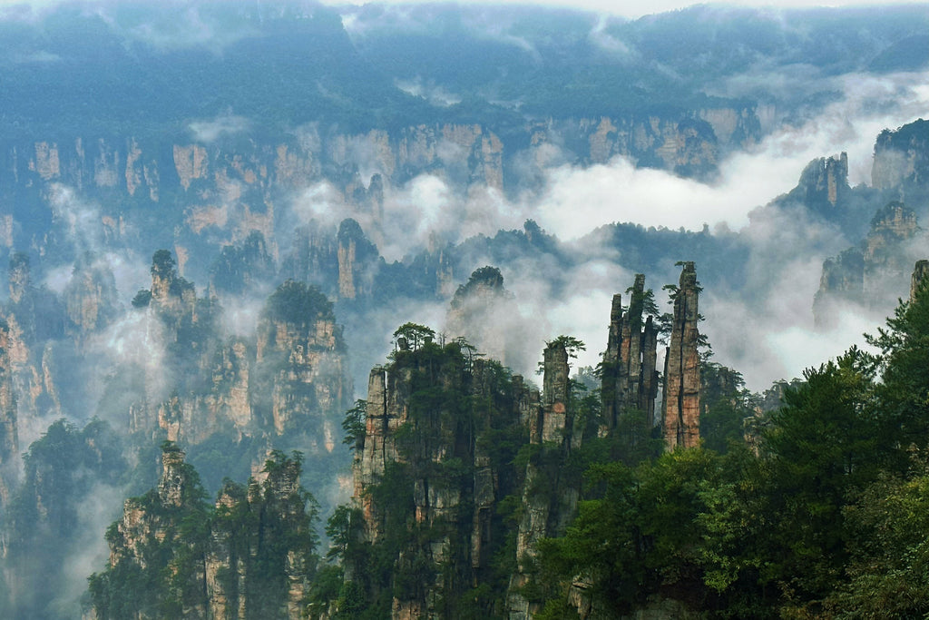 12D11N Chongqing+Zhangjiajie+Shanghai