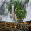 9D8N Xi'an+Zhangjiajie