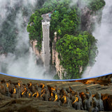 9D8N Xi'an+Zhangjiajie