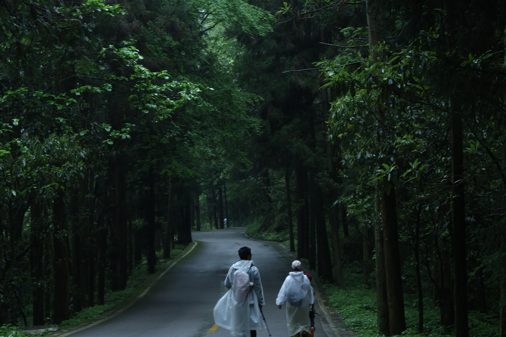 Zhangjiajie: 6 Days, 5 Nights